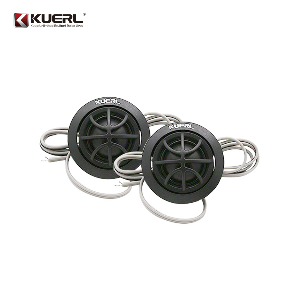 Комплект профессиональных авто – обзор и цена Car Audio Tweeter Silk Dome
