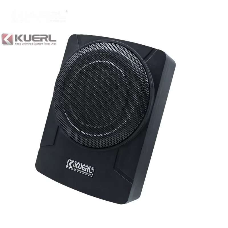 Оптовая продажа, новый дизайн, – обзор и цена Under Seat Subwoofer Slim 8 Inch