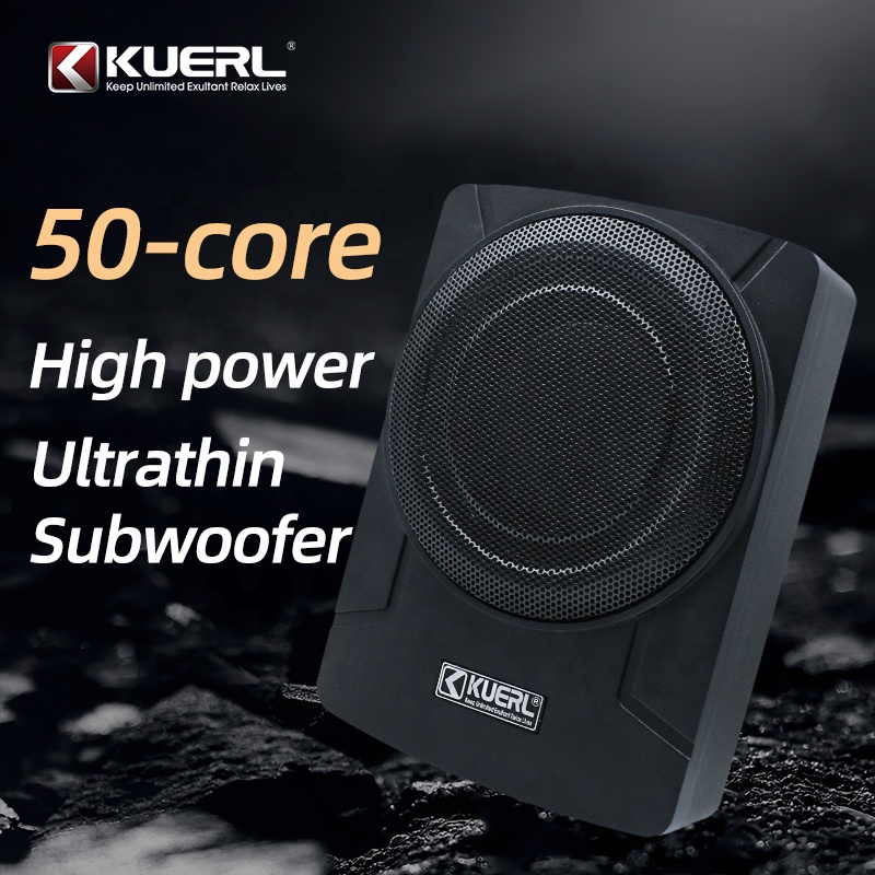 Оптовая продажа, новый дизайн, – обзор и цена Under Seat Subwoofer Slim 8 Inch