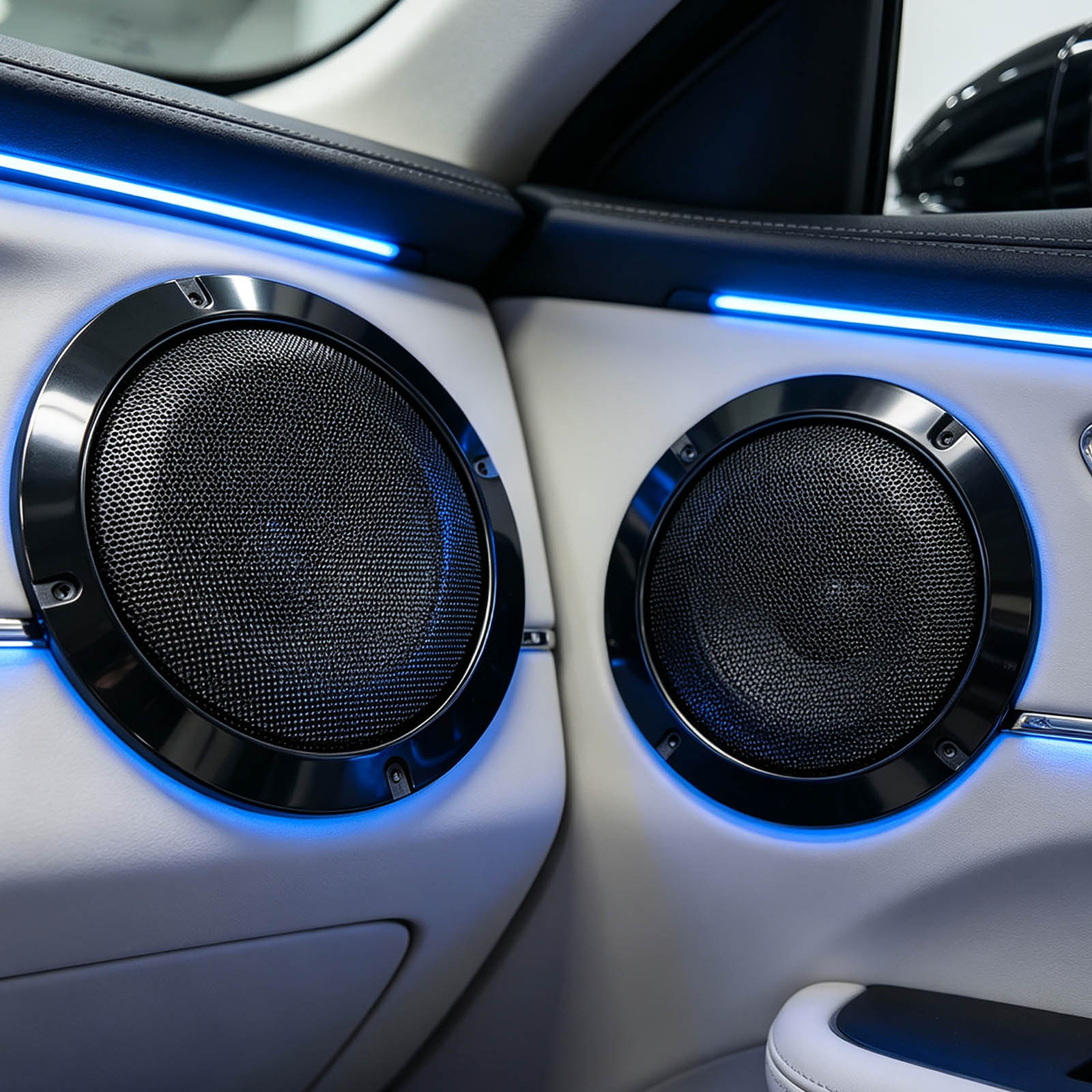 6,5-дюймовый автомобильный ауд – обзор и цена Car Subwoofer Grill Protector
