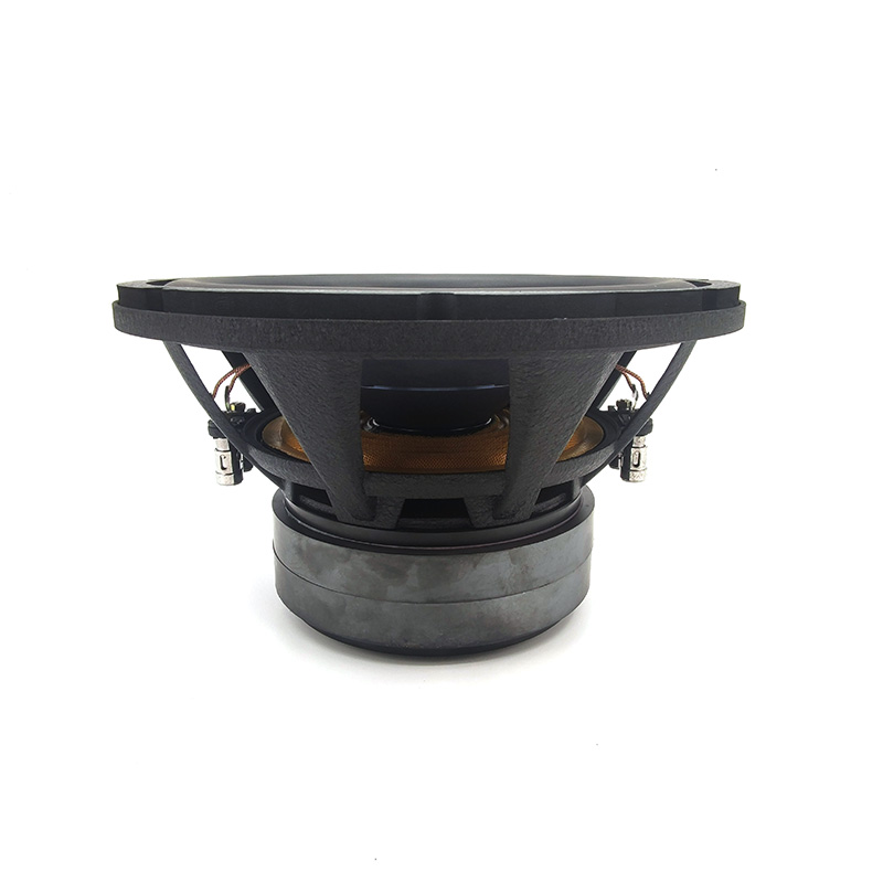 Оптовая продажа с завода: авто – обзор и цена Car Audio Subwoofer 10 Inch Dvc